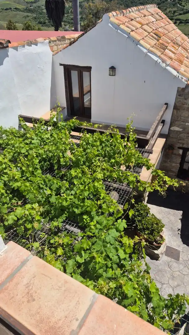 Casa rústica amb piscina en venda a Jimena de la Frontera, imagen 17