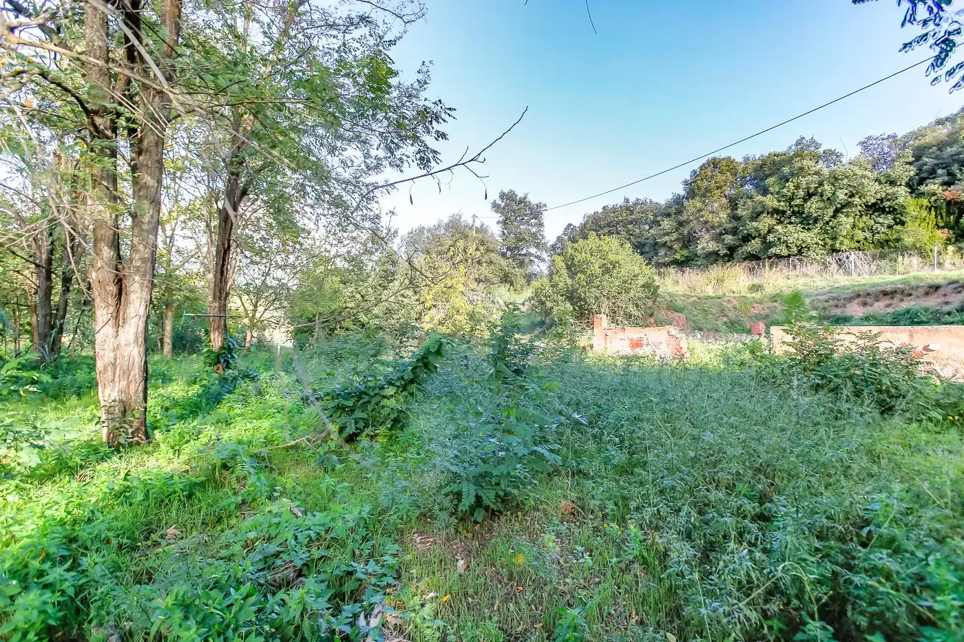 Maison rustique à vendre à Breda, imagen 29