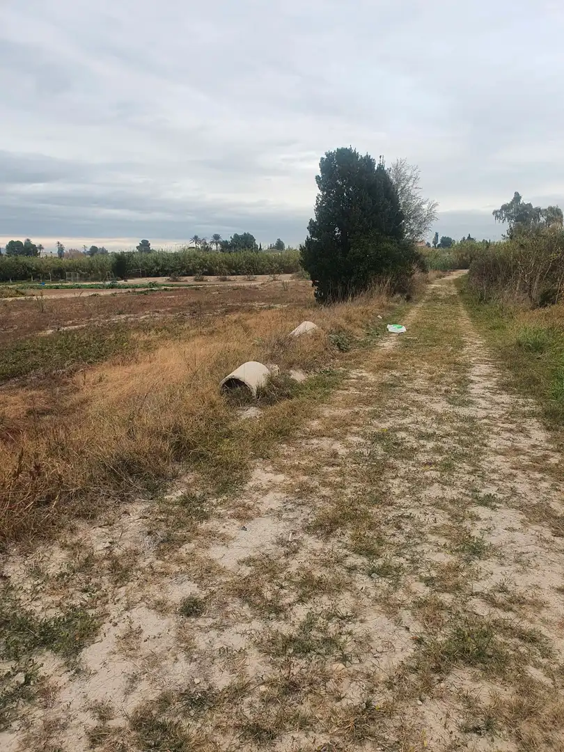 Terreny rústic en venda a Ceutí, imagen 6
