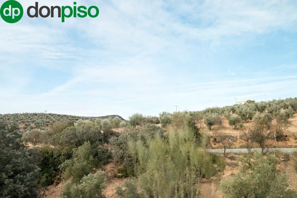 Casa rústica en venda a CORTIJO LA BARRAGANA, imagen 7