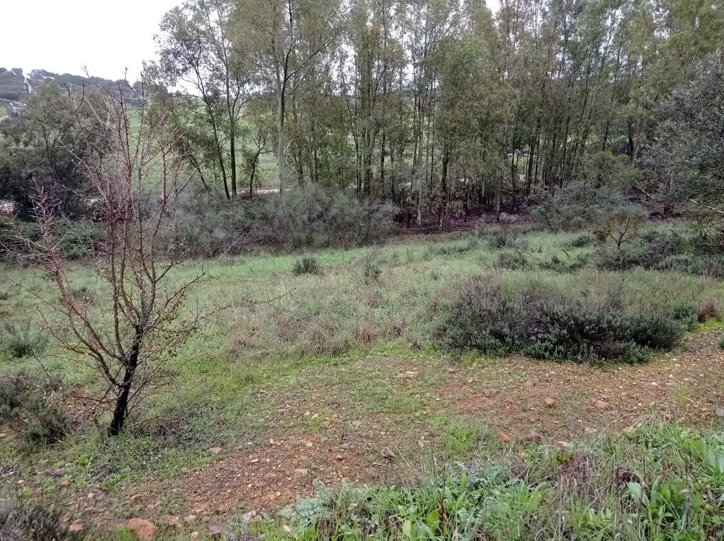 Casa rústica en venda a Valdesalor - Rincón de Ballesteros, imagen 3