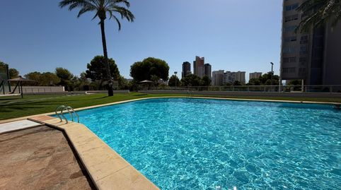 Foto 3 de Piso en venta en Via Parque, Benidorm