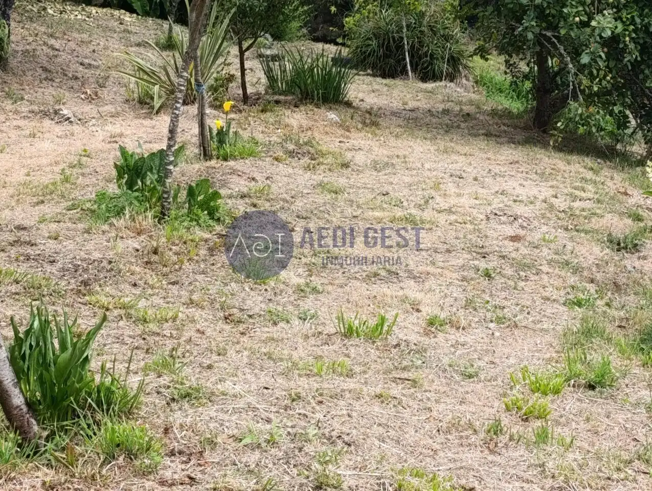Maison avec jardin à vendre à Lugar Os Muros, imagen 7