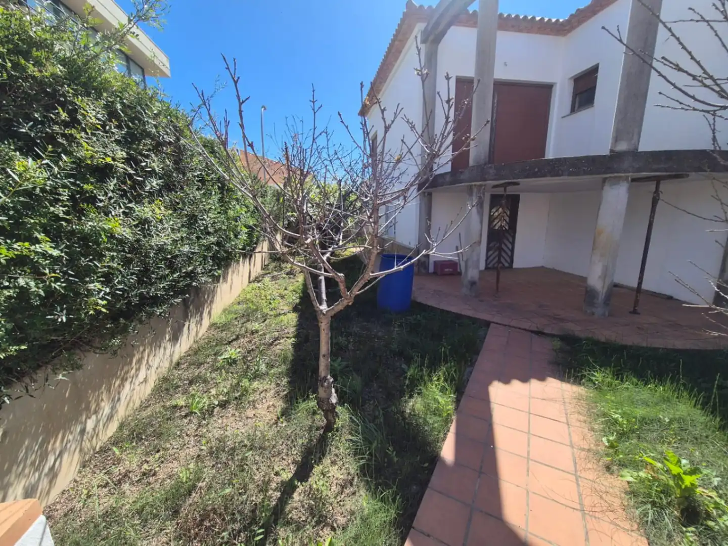 Jardí de Casa o xalet en venda en Oliva amb Jardí privat i Terrassa
