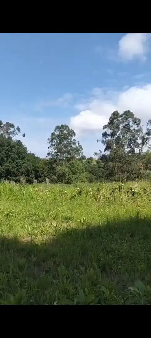 Finca rústica en venta en Valdáliga