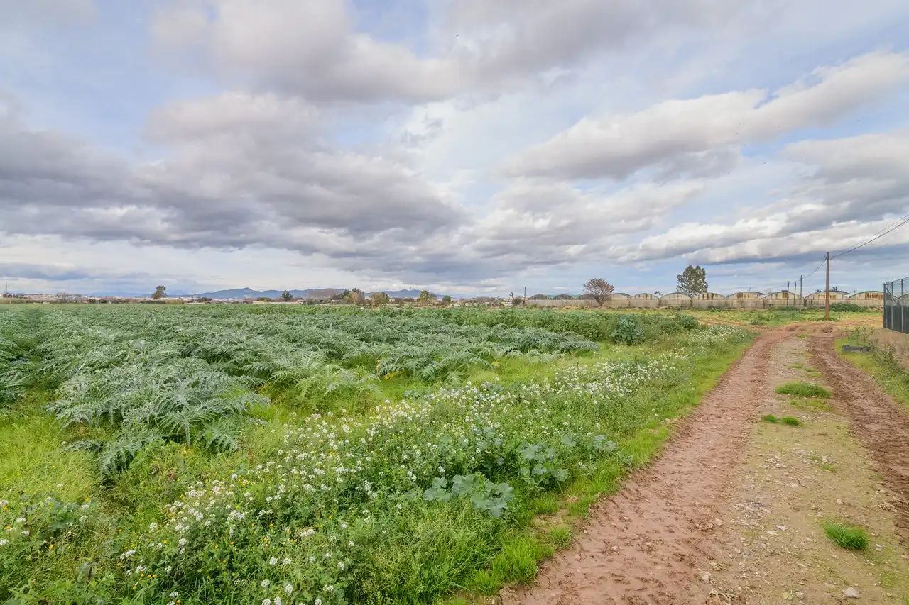 Finca rústica en venda a Torrent Ballester