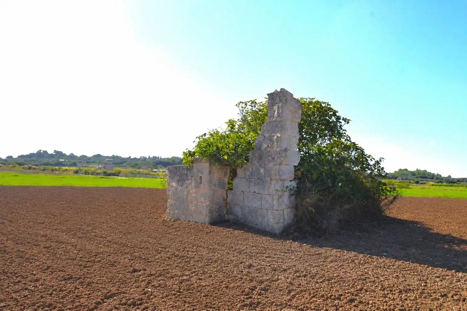 Rural land for sale in Muro, imagen 3