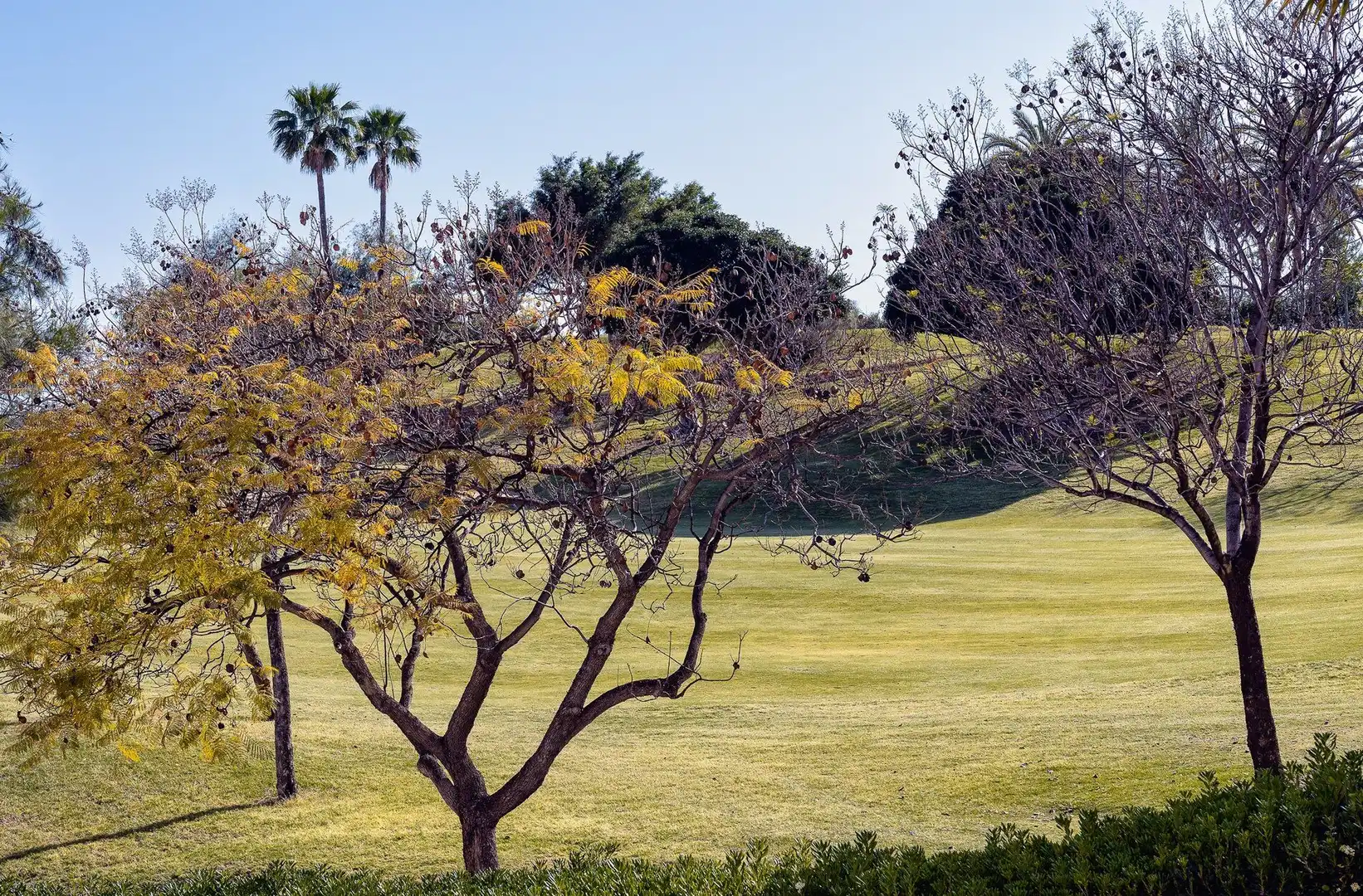 Vista exterior de Planta baja en venta en Benahavís con Aire acondicionado, Calefacción y Jardín privado