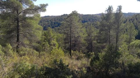 Foto 3 de Terreny en venda a Plaza Mayor, 8, La Pesquera , Cuenca