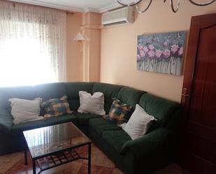 Living room of Flat to rent in Puertollano  with Air Conditioner, Heating and Furnished