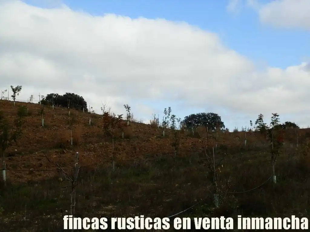 Terreni e lotti in vendita a Torrijos