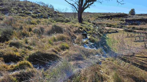 Photo 4 of Land for sale in Azofra, La Rioja