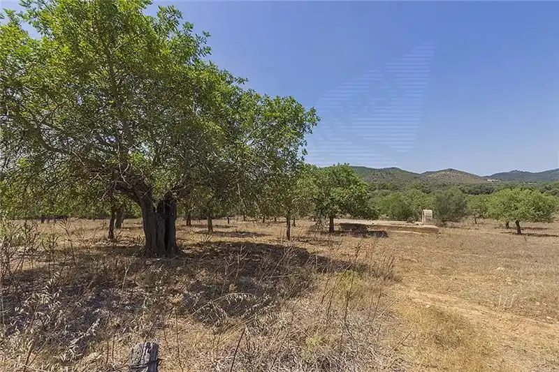 Country homes for sale in Manacor  with Private garden and Terrace