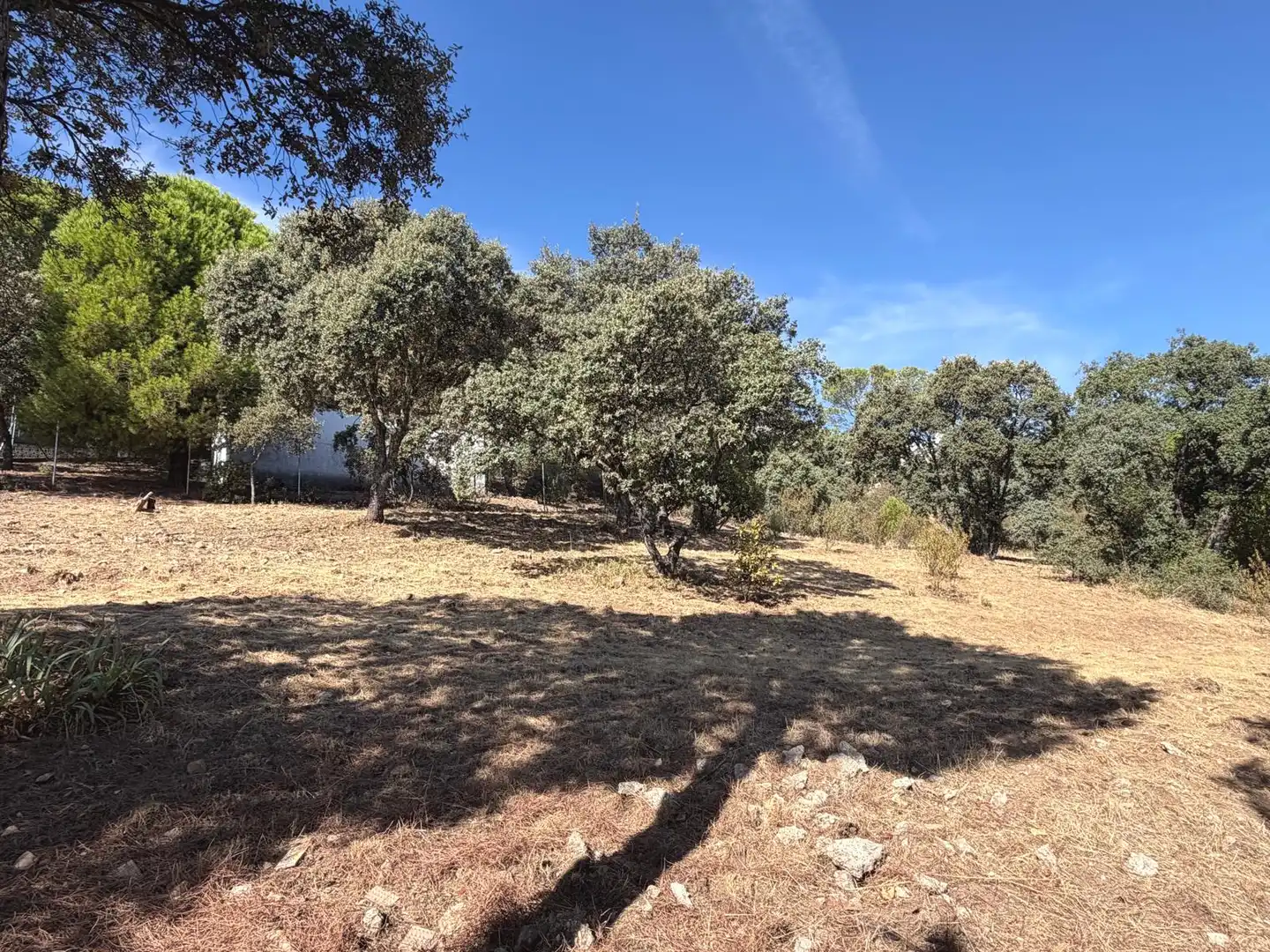 Residential land for sale in Villa del Prado, imagen 12