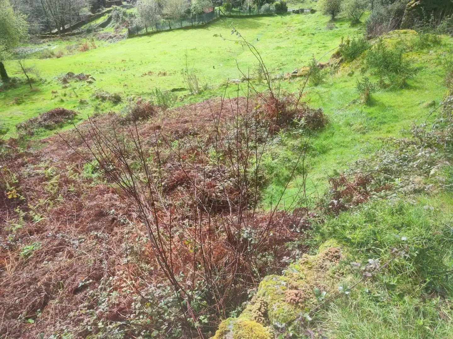 Terreno rustico in vendita a Ponte Caldelas, imagen 10