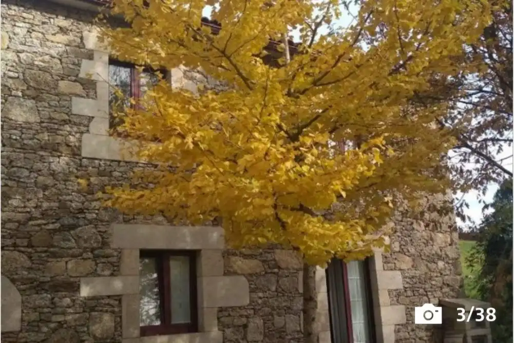 Maison à vendre à Vilasantar, imagen 3