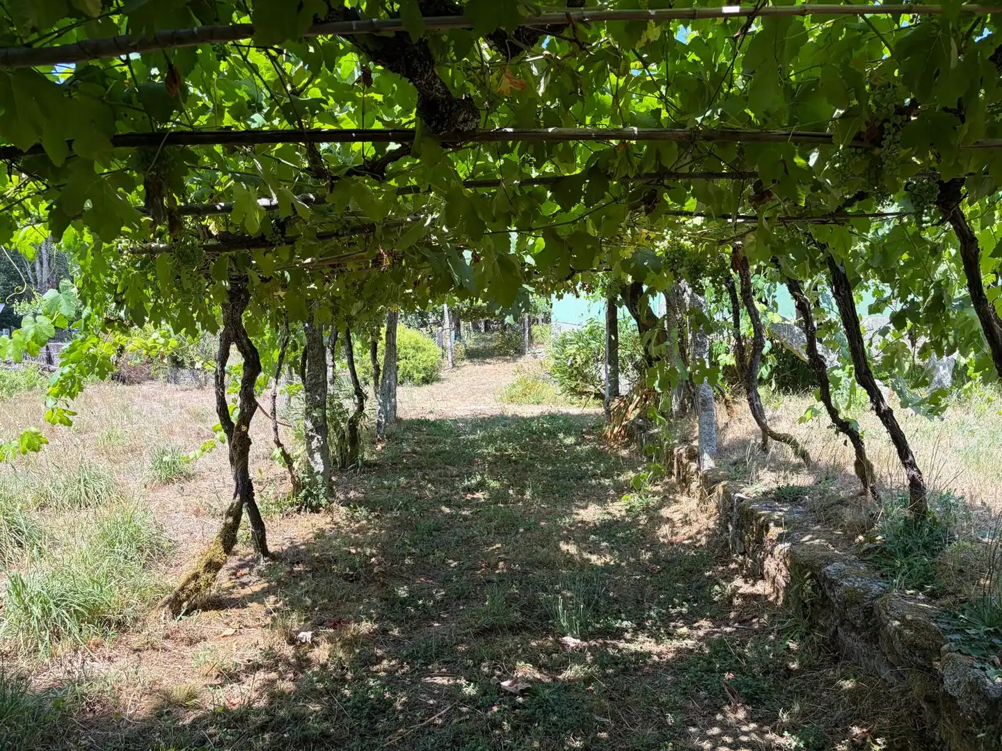 Jardí de Casa o xalet en venda en Salvaterra de Miño amb Jardí privat i Parquet