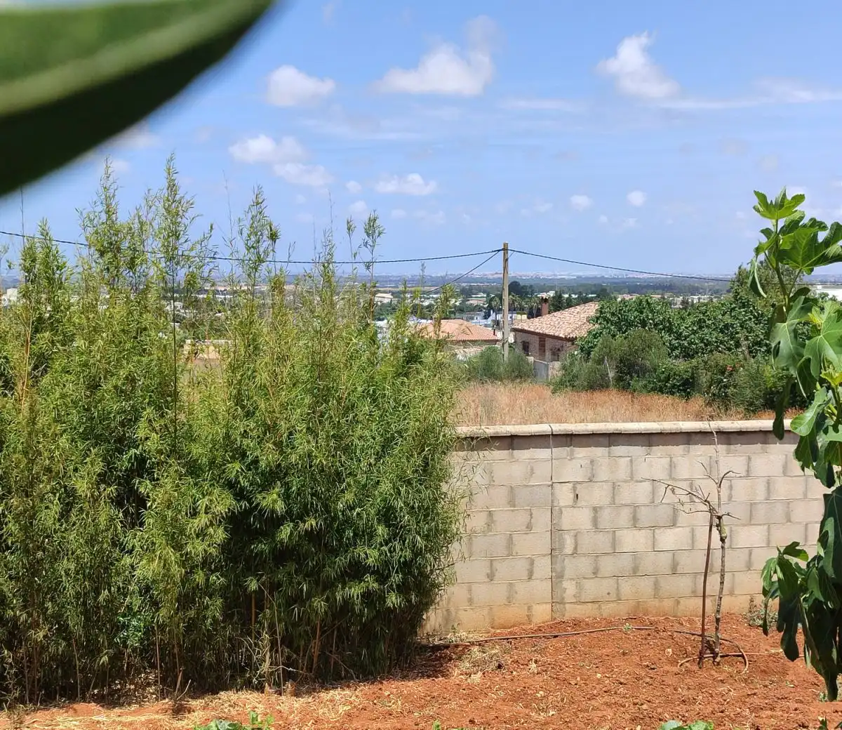 Detached house for sale in Barrio Nuevo, imagen 38