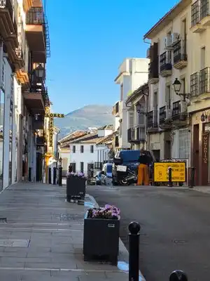 Casa amb jardí en venda a Calle LOS REMEDIOS, imagen 31