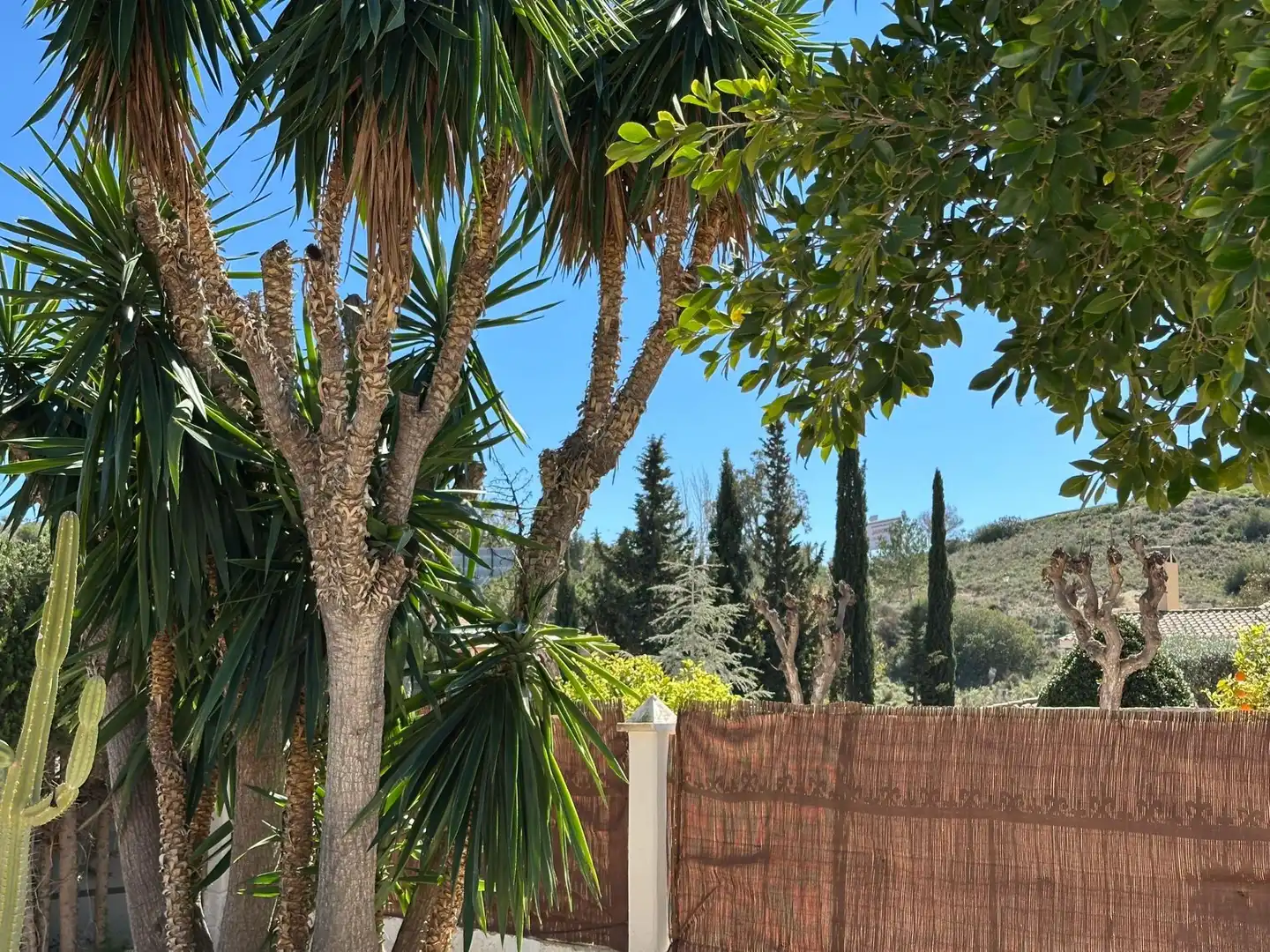 Villa mit Pool zum Verkauf in La Alcayna, imagen 19
