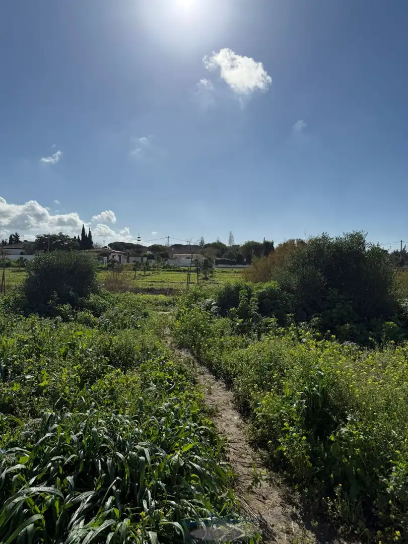 Terreni e lotti in vendita a Valle del Corneja, imagen 15