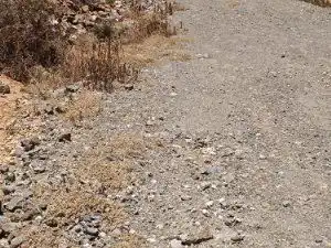 Exterior view of Land for sale in Puerto del Rosario