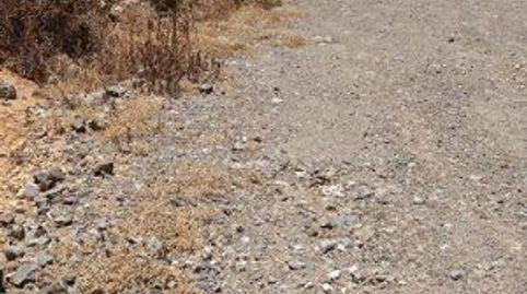 Photo 4 of Land for sale in Paraje Almacigo, Tefía - Tetir, Puerto del Rosario
