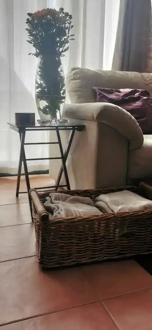 Dormitori de Casa o xalet en venda en Oroso amb Jardí privat, Parquet i Forn