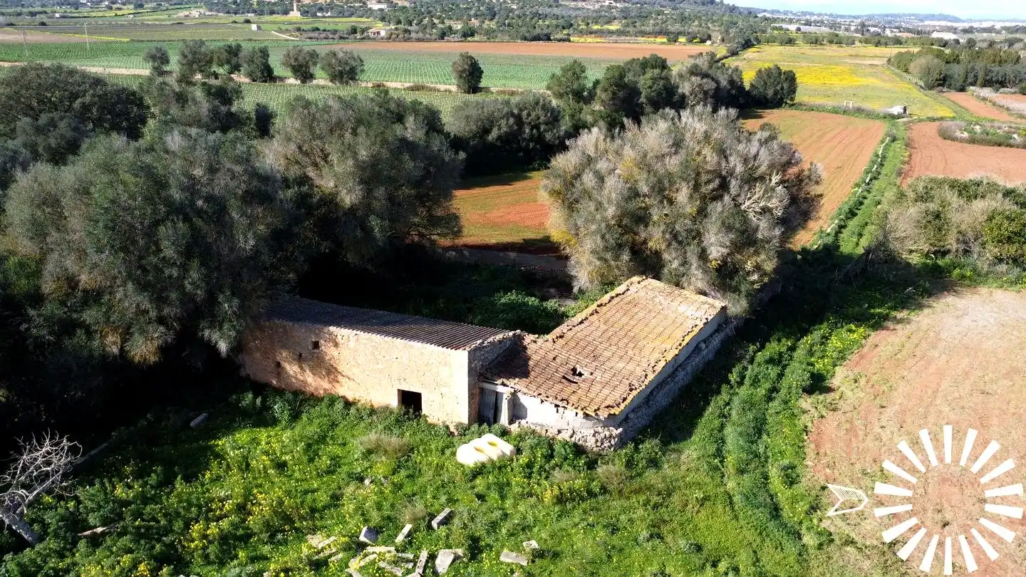 Terrain rustique à vendre à Cami de Son Pau, imagen 35