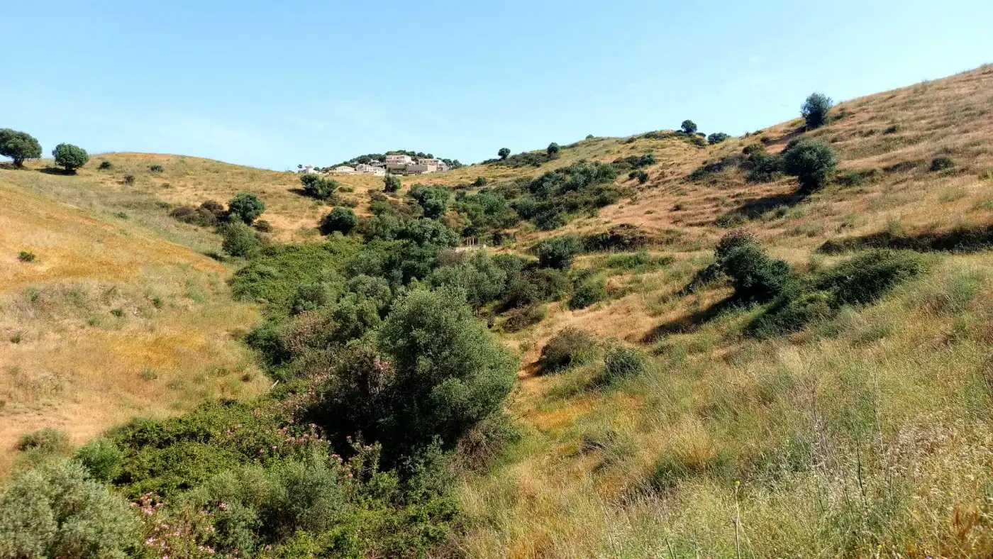 Country homes for sale in Mijas  with Private garden