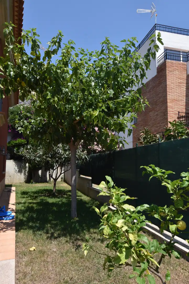 Jardín de Casa o chalet en venta en Castell d'Aro, Platja d'Aro i s'Agaró con Aire acondicionado, Calefacción y Jardín privado