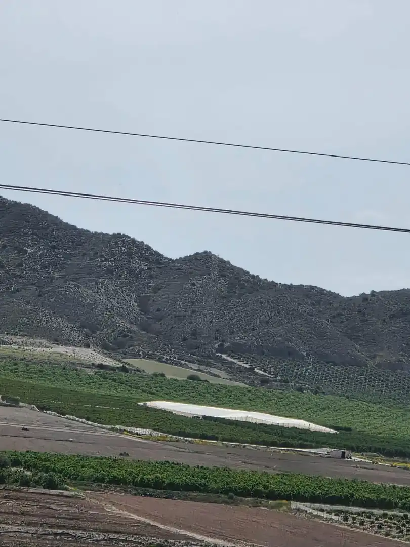 Exterior view of Land for sale in Lorca