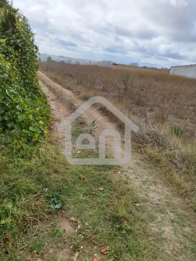 Rural land for sale in Calle Torrecilla 2, imagen 5