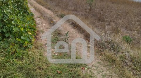 Terreno Rustico en la Torrecilla Requena, immagine 5