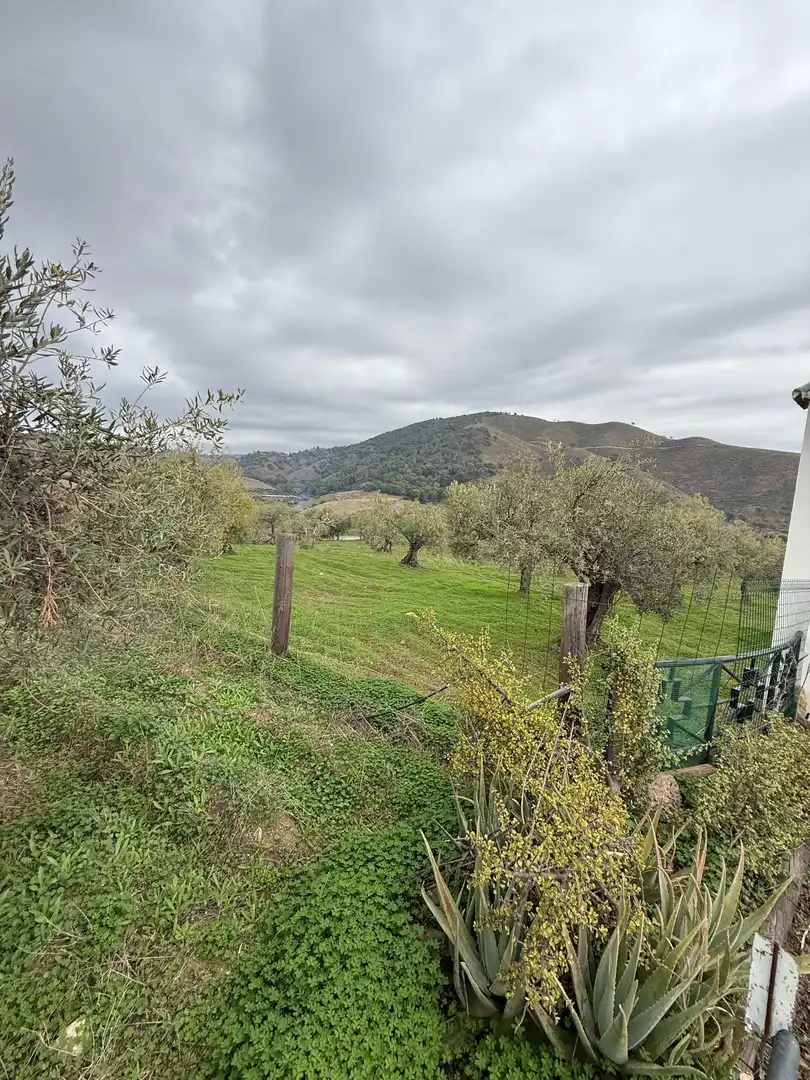 Casa rústica en venda a diseminado huertas y lomas, imagen 45