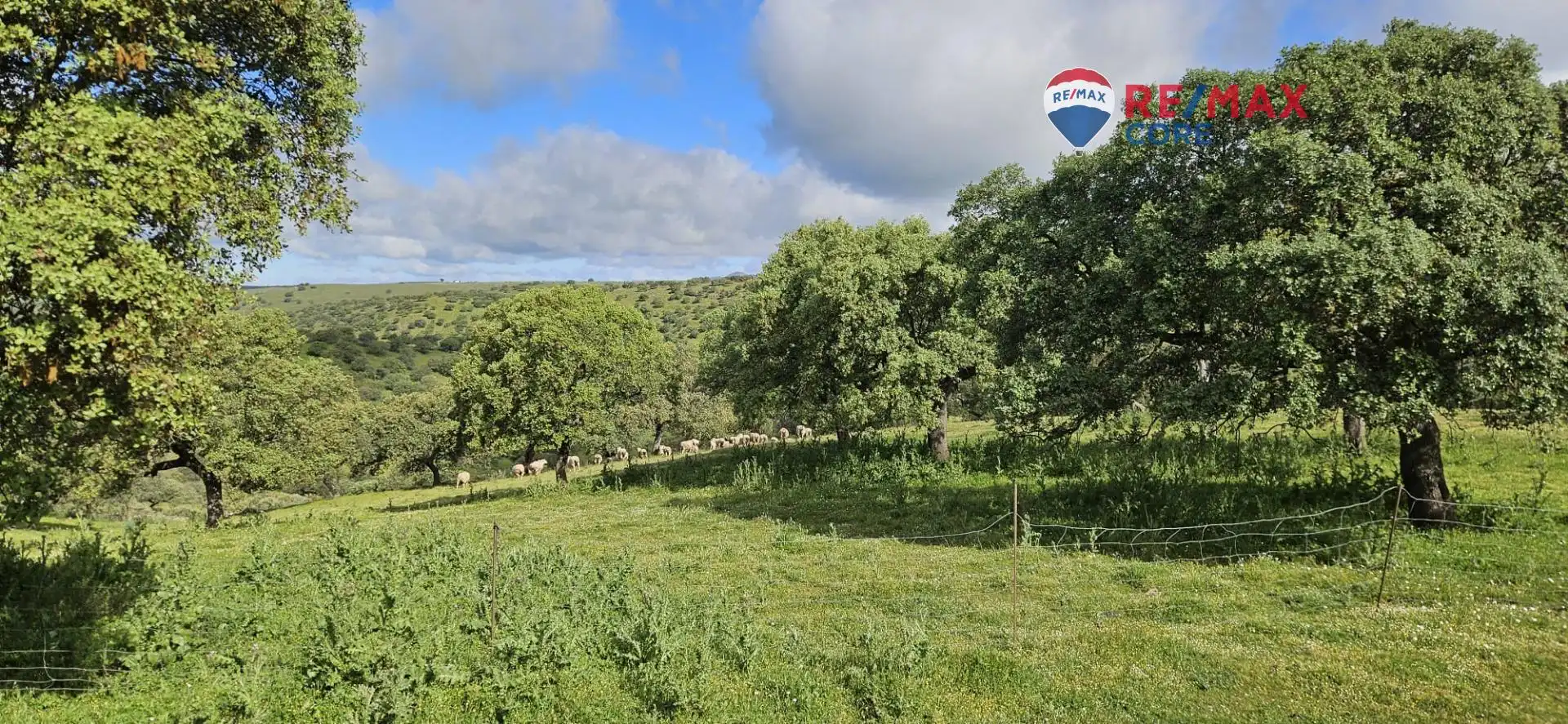 Terreni e lotti in vendita a Siruela, imagen 44
