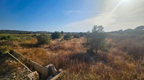 Foto 2 de Terreno en venta en Plá de la Vallonga, Alicante, Spain, -1, Pla de la Vallonga, Alicante / Alacant