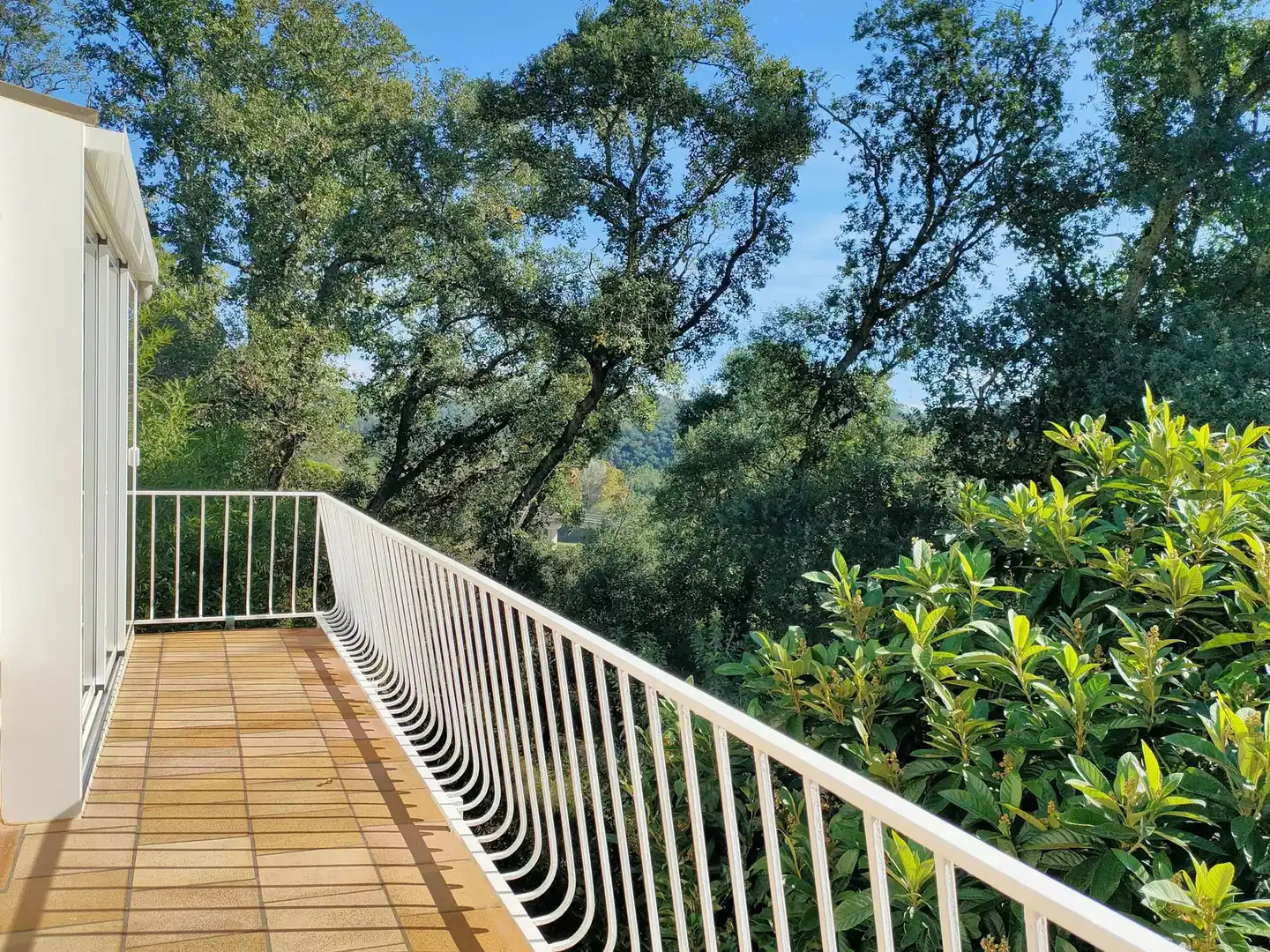 Terrassa de Casa o xalet en venda en Massanes amb Piscina