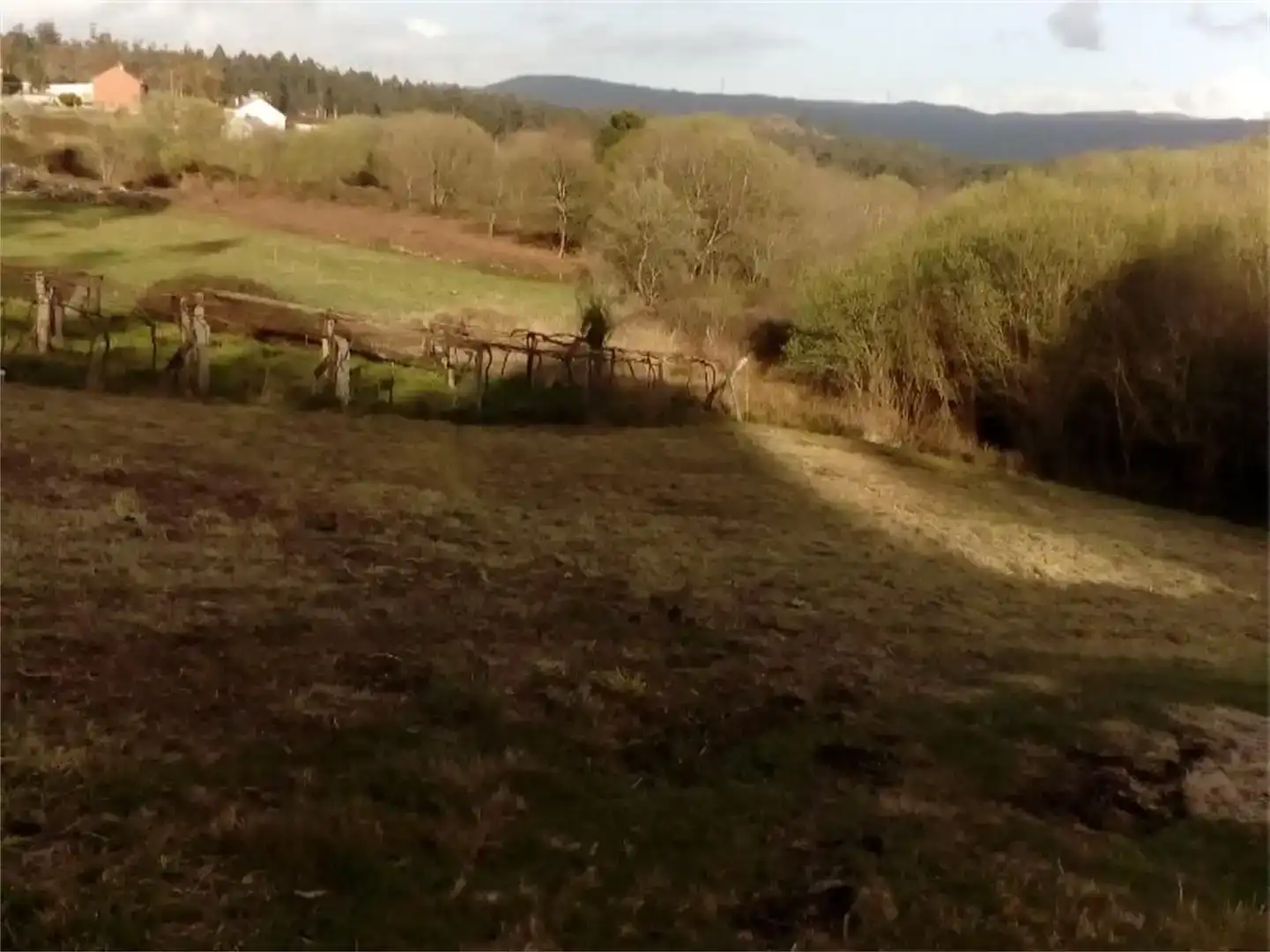 Finca rústica en venta en Cuntis