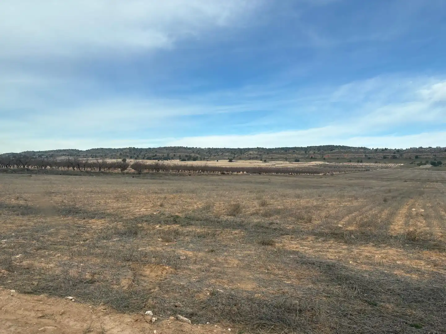 Finca rústica en venta en Ontur
