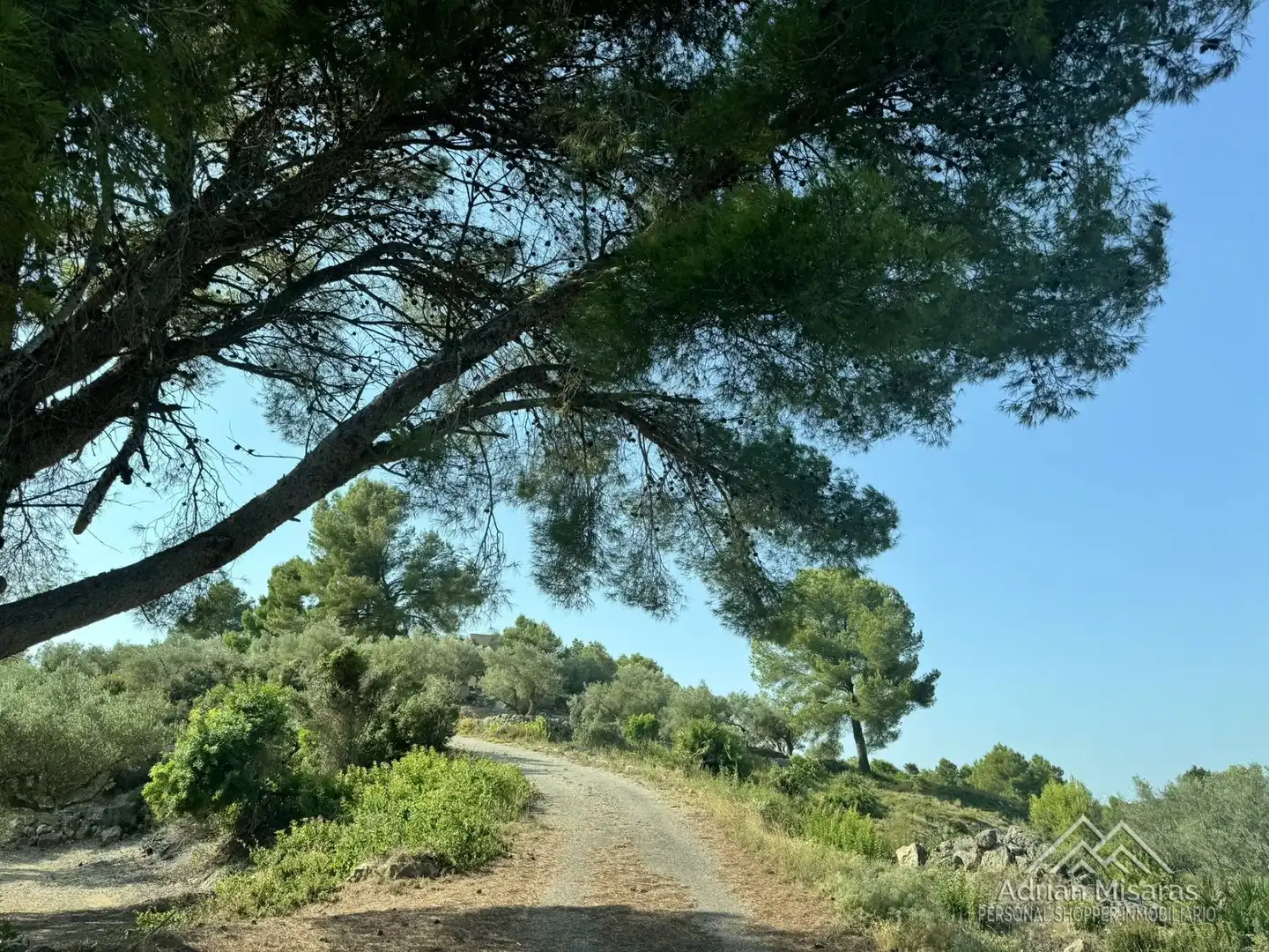 Vista exterior de Terreno en venta en Tortosa