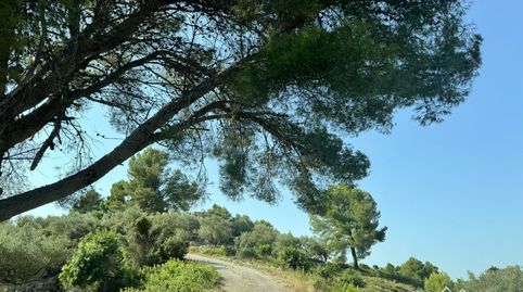 Foto 3 de Terreno en venta en 139, Urbanitzacions, Tortosa