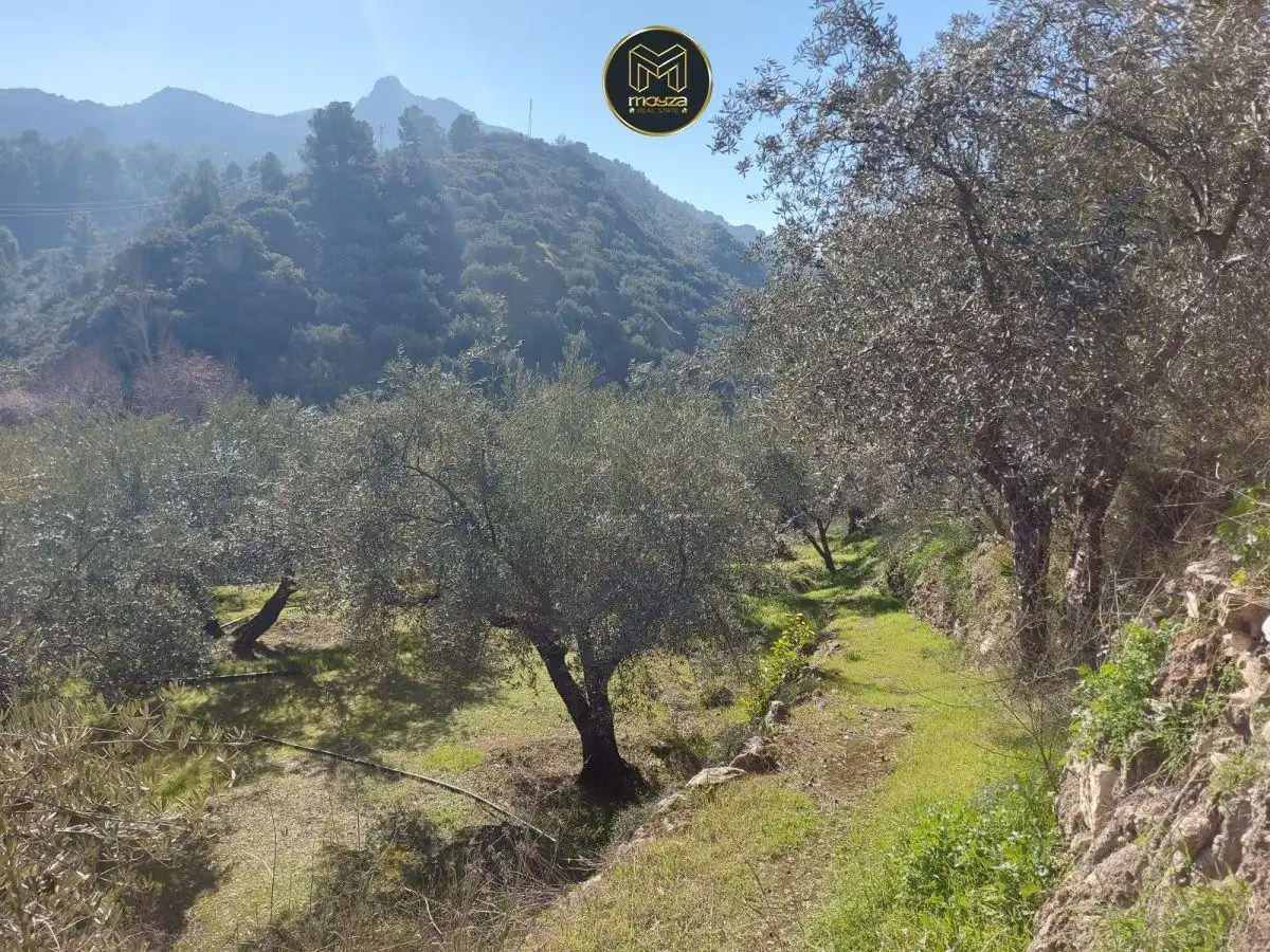 Casa o chalet en venta en Jaén con Terraza y Trastero