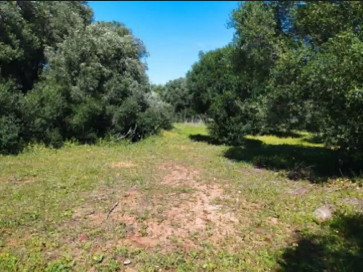 Finca rústica en venda en Barbate