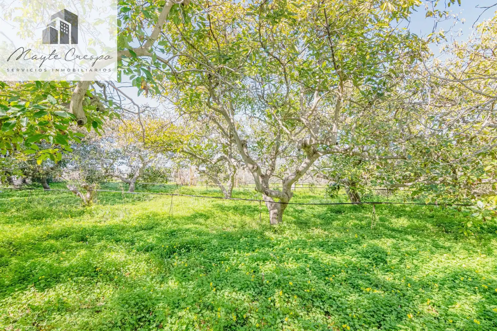 Detached house with pool for sale in Calle alcubillas 44, imagen 61