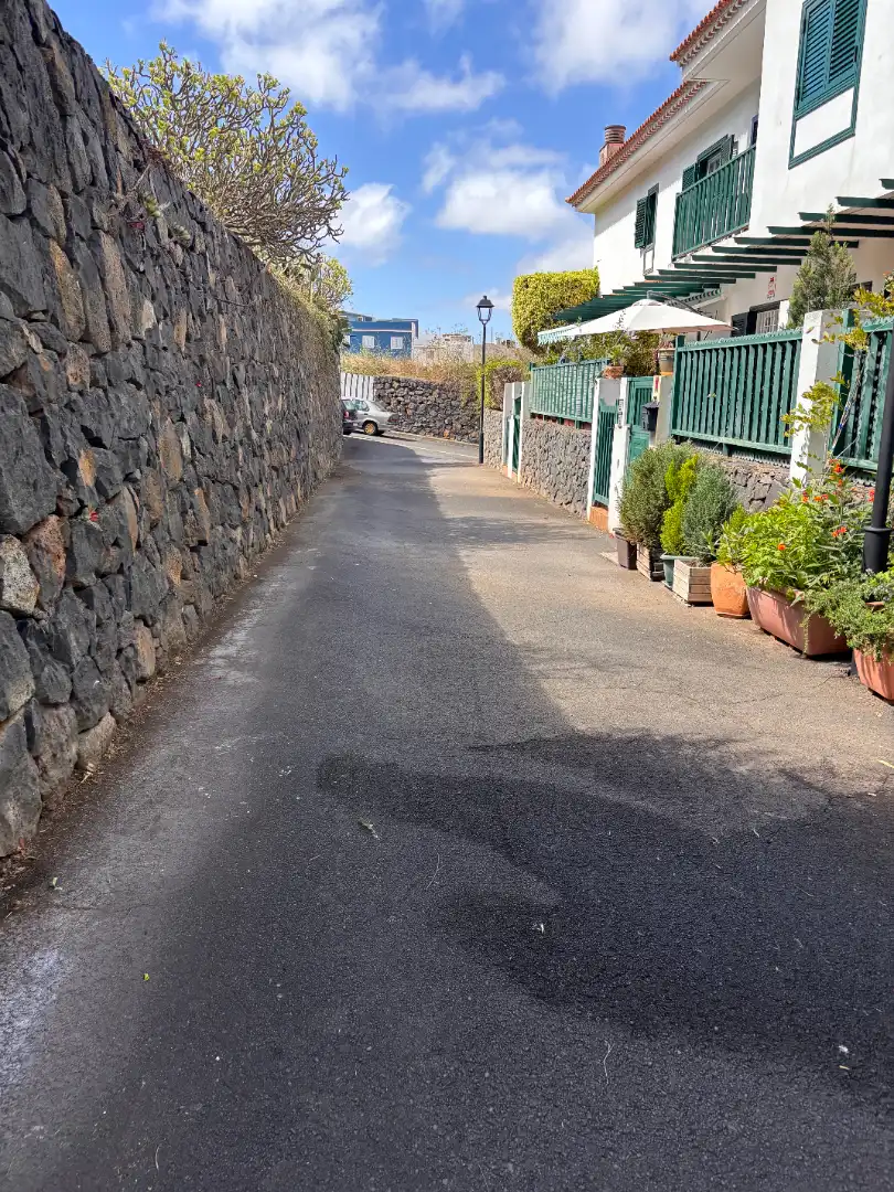Detached homes for sale in La Laguna