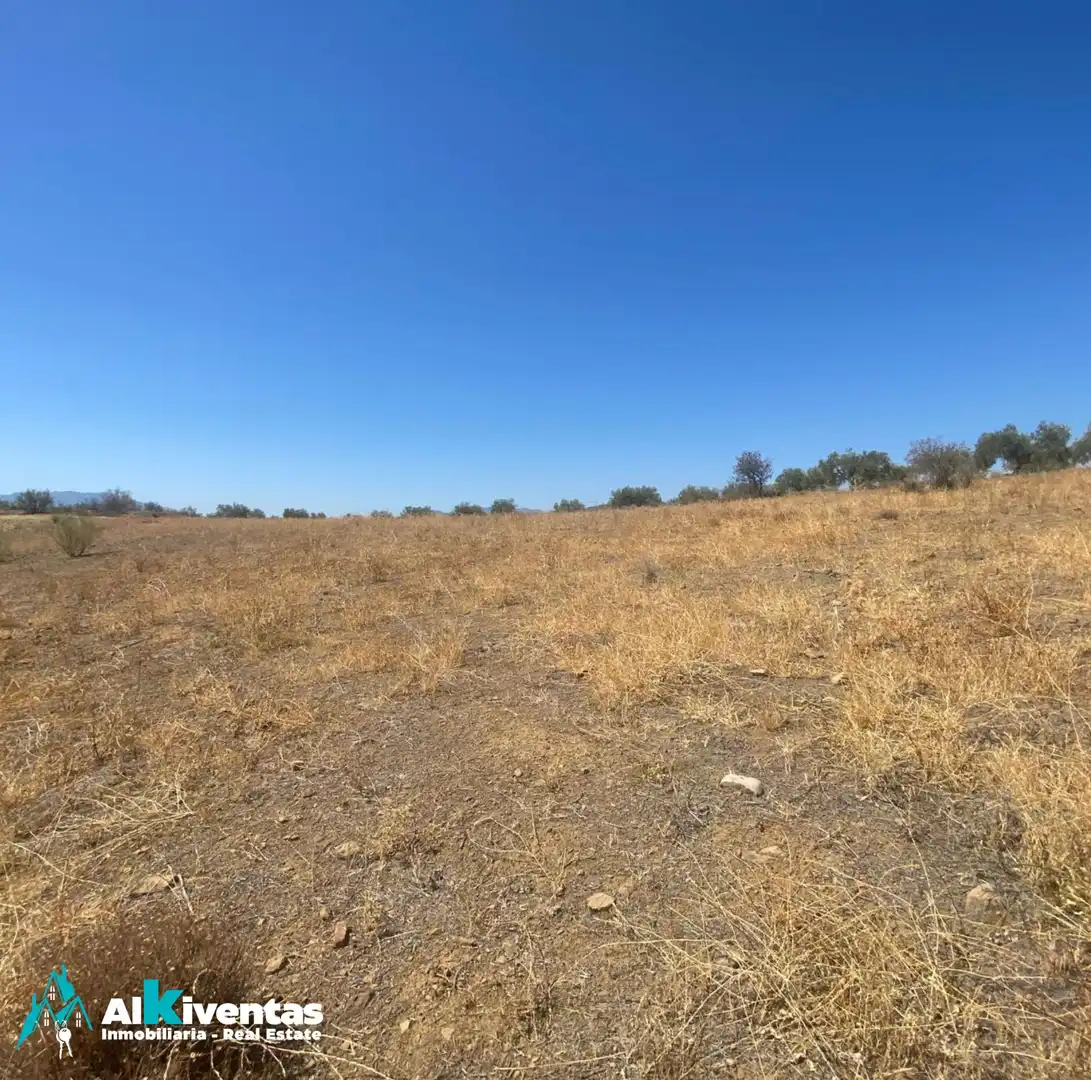Terrains et parcelles à vendre à Carretera Antequera, imagen 3