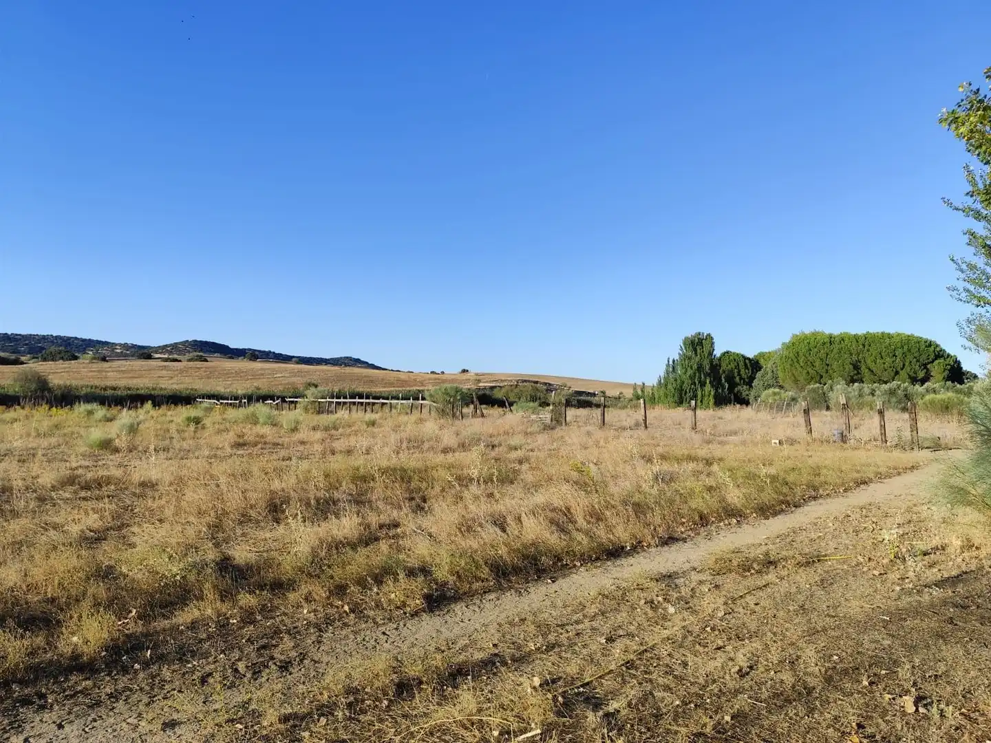 Terreno en venta en Brunete