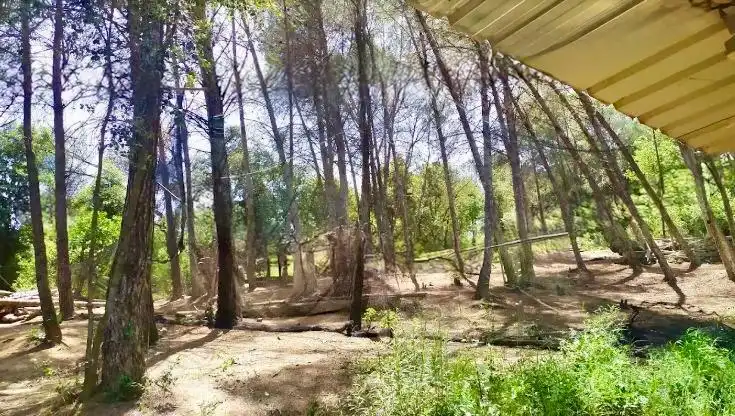 Lands and plots for sale in El Racó - Sant Feliu del Racó, imagen 12