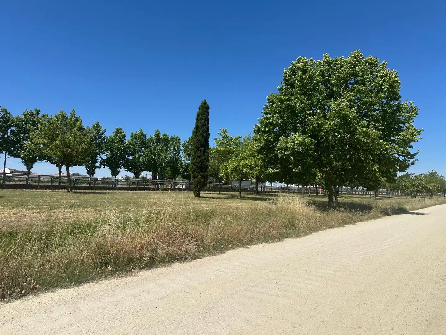 Terreni e lotti in vendita a Lugar Diseminado 535